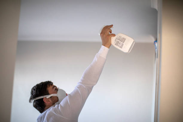 Best Mold Remediation  in Evadale, TX