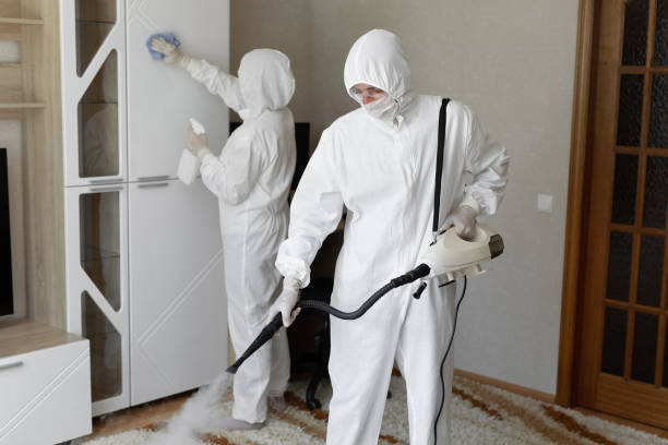 Mold Removal and Inspection in Evadale, TX