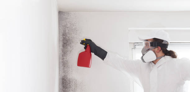 Best Mold Testing  in Evadale, TX