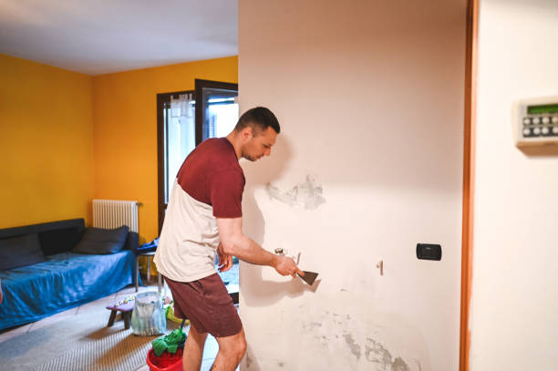 Mold Removal Process in Evadale, TX